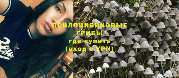 винт Алзамай