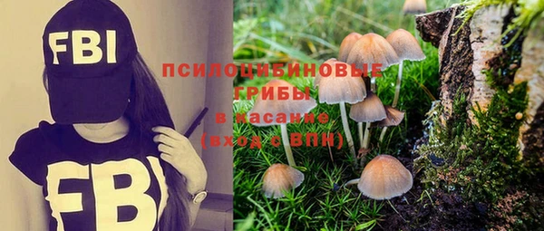 винт Алзамай