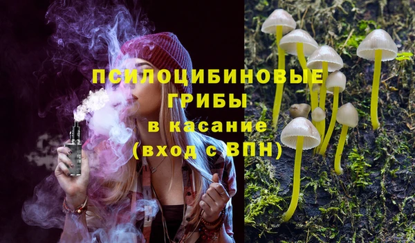 дурь Осинники