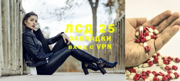 амф Алексин