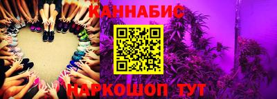 бошки Гатчина
