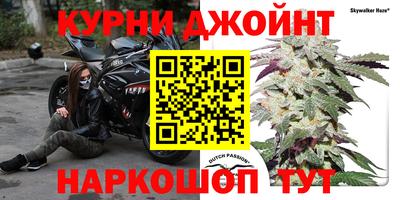 бошки Гатчина