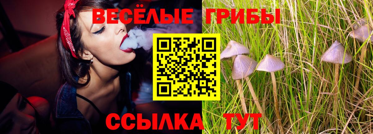 Галлюциногенные грибы мухоморы  Вход с VPN  Кыштым 